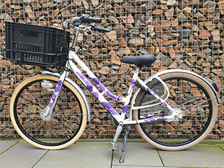 Straatman kinderfietsen - Meisjes-fiets-Giant-28-inch-Single4U-49-cm-frame